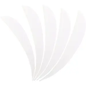 Archery Arrow Feathers 3 Inch 4 Inch 5 Inch Turkey Feathers Fletchings Right Wing for DIY Hunting Arrows 50PCS