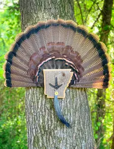 State Shaped Turkey Fan Plaques