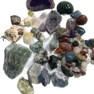 Wowzza Gallon Mining Bucket with Citrine, Amethyst, Muscovite, crazy lace agate and more home decor natural crystal