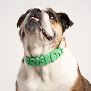 Silicone Dog Charms | Letters & Symbols for Personalized Dog Collars and Leashes - Green