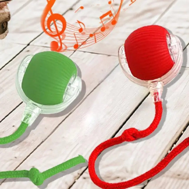 [2 Pieces]Super affordable