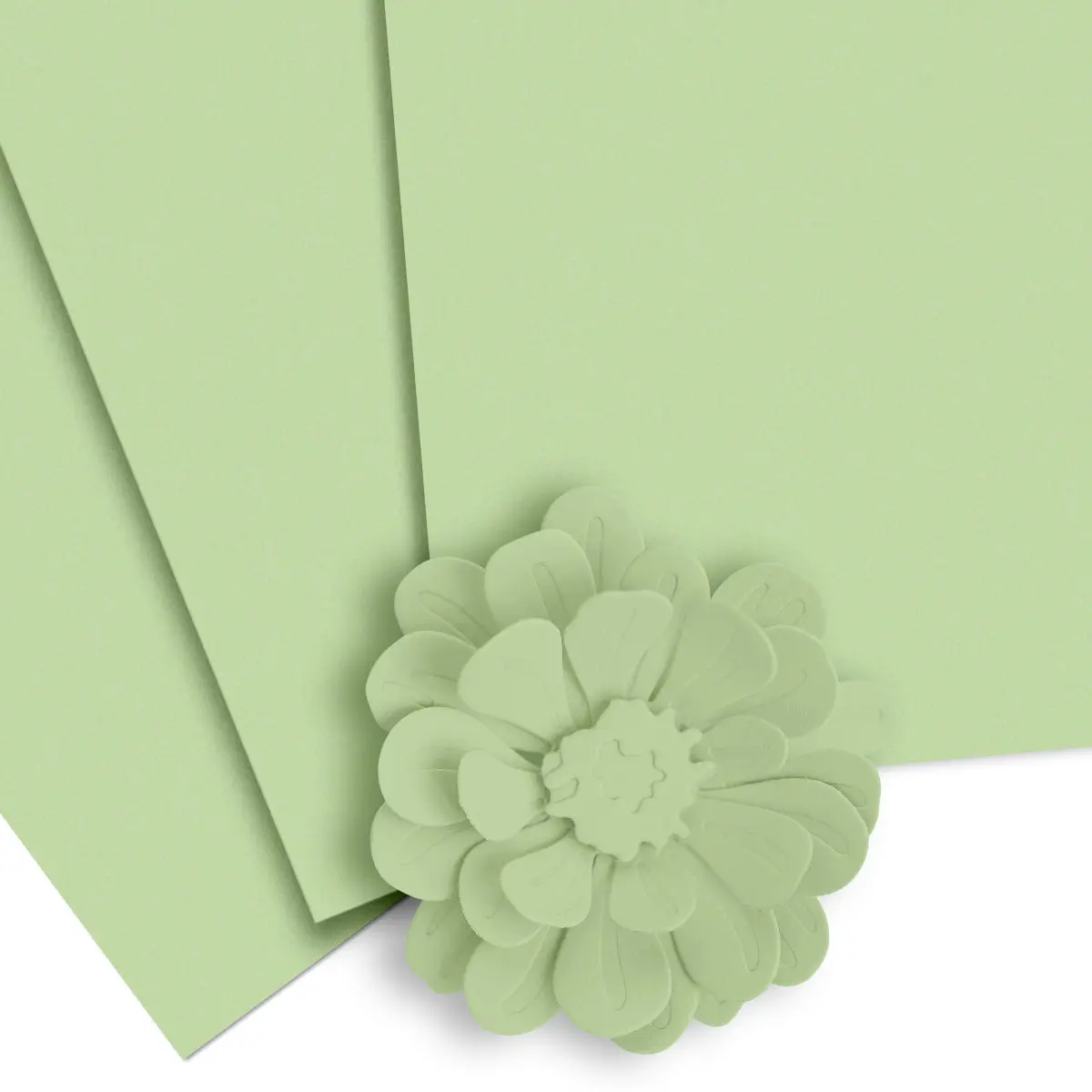 Crafty Necessities: Frayed Leaf Cardstock (10 sheets/set)