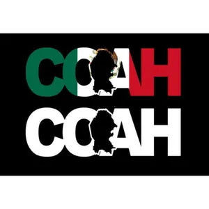 Coahuila letters Decal Car Window Laptop Map Vinyl Sticker Mexico Coah decal