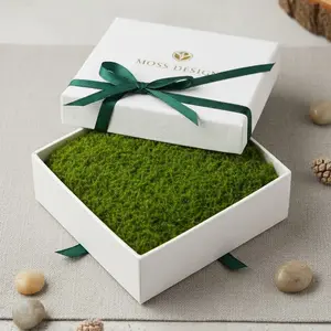 Moss Designs Live Moss in Pack 4 oz Natural Green Decor for Home DIY Terrariums Vivariums Moss Walls Mini Gardens Office Cafe Photo Zone