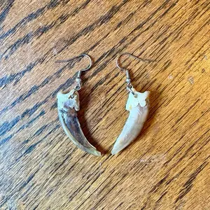 Rustic Badger Claw Earrings, Stainless Steel Dangle Jewelry, Unisex Gothic Pagan Gift, Real Animal Claw Oddity