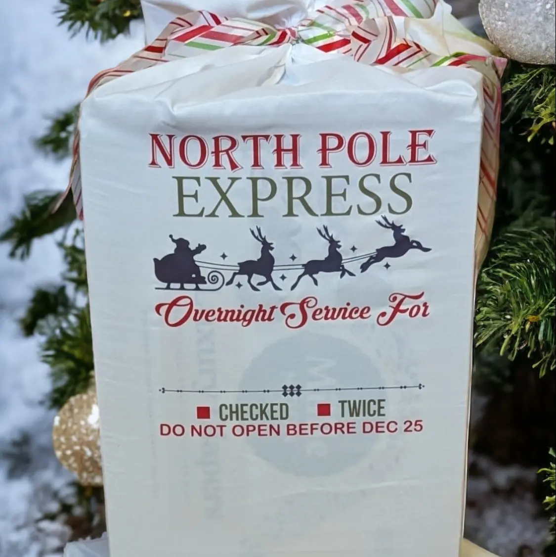 Santa Sacks