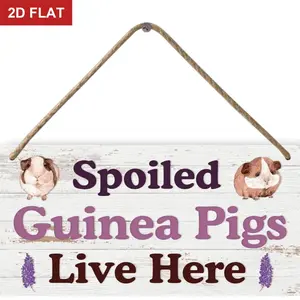 Big Hamster Ball & Guinea Pig Hideout - Stuffed Animals & Accessories for Guinea Pig Cage 11.8x5.9 In