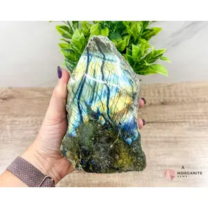 Labradorite One Polish Side Free Form