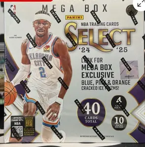 2024-2025 PANINI SELECT BASKETBALL MEGA BOX