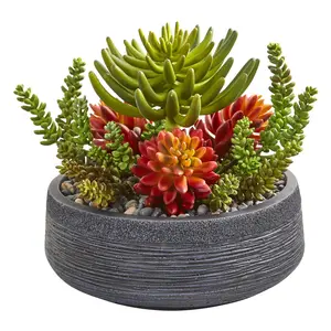 12" Succulent Garden Plant/Bowl by Nearly Natural 12" Succulent Garden Plant/Bowl by Nearly Natural