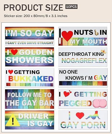 10 Pcs Bumper Decals Funny LGBT Stickers Rainbow Bumper Prank Car Stickers Colorful Car Accessories for Truck Vehicle Luggage Window Refrigerator