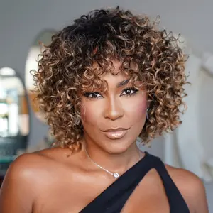 New Wholesale Hot Women's Natural Look Human Hair Wig - Voluminous Afro Kinky Curly Pixie Cut with Highlights, Non-Lace Rose Net Cap, High Density (180%) for Business, Everyday, Parties - Easy Maintenance & Secure Fit - Suitable for All Light Beige Tones