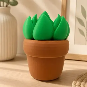 Succulent Soap Holder