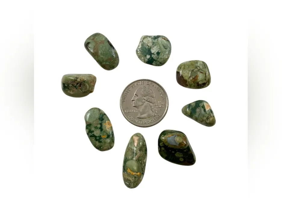 Rare Sea Jasper Tumbled Stone, Natural Crystal for Jewelry Accessories & Decorations, Crystals