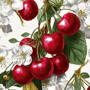 background preload poster image 