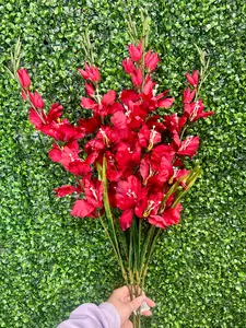 32 Inch Red Gladiolas Bush