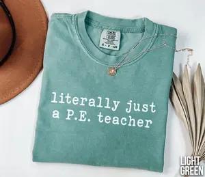 Comfort Colors PE Teacher Shirt, Physical Education Teacher Gifts, School Specials Teacher, Teacher Group Shirt, PE Teacher Tee Fit Top
