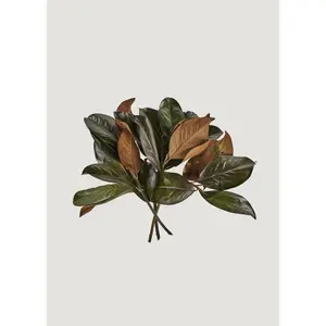 Bundle of 3 Green Preserved Magnolia Leaf Stems