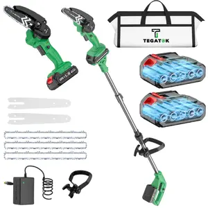 Cordless Pole Saw | Foldable Extension Pole + 6” Saw Blade. 2-in-1 Multi-Use Design: Detachable & Extendable, No Ladders Needed for High Pruning. Complete Kit with 2 Batteries, Extra Chains, and Carry Bag Mini Chainsaw Portable
