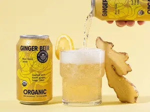 Moonglade Organic Ginger Beer- Tangy Lemon and Spicy Ginger-12 Pack,  Natural Beverage