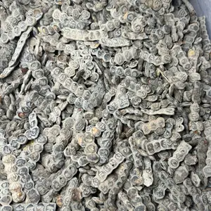 Nep-Nep Acacia Aroma - Natural Fruits Aromatiques Acacia Easy to Use Boil Few Fruit Delightful Scent