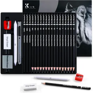 24 count Professional Sketch Pencil Set - 5H to 14B Pencils, Charcoal Pencils, Art Supplies Kit with Erasers, Sharpener,  - Ideal  for Artists, Students, , Beginners