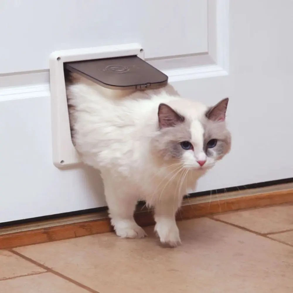PetSafe - P1-4W-11 4-Way Interior Locking Cat Door - Pet Door