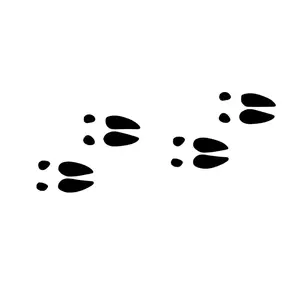 Deer Tracks Decal - Personalize and Promote with Size and Color Options