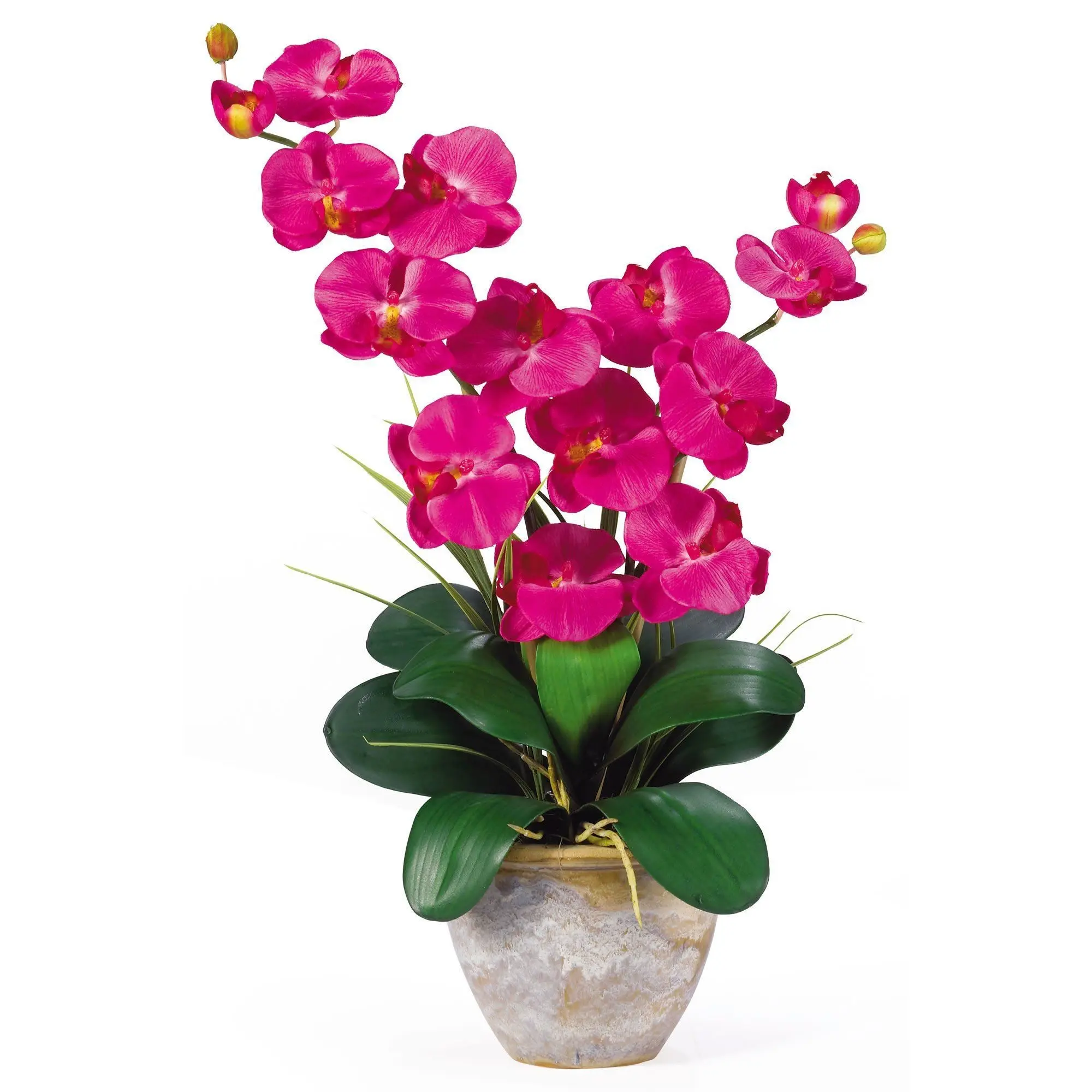 Double Stem Phalaenopsis Silk Orchid Arrangement - Lifelike Decorative Ceramic Vase Fake Plants, Home Decor for Gifting