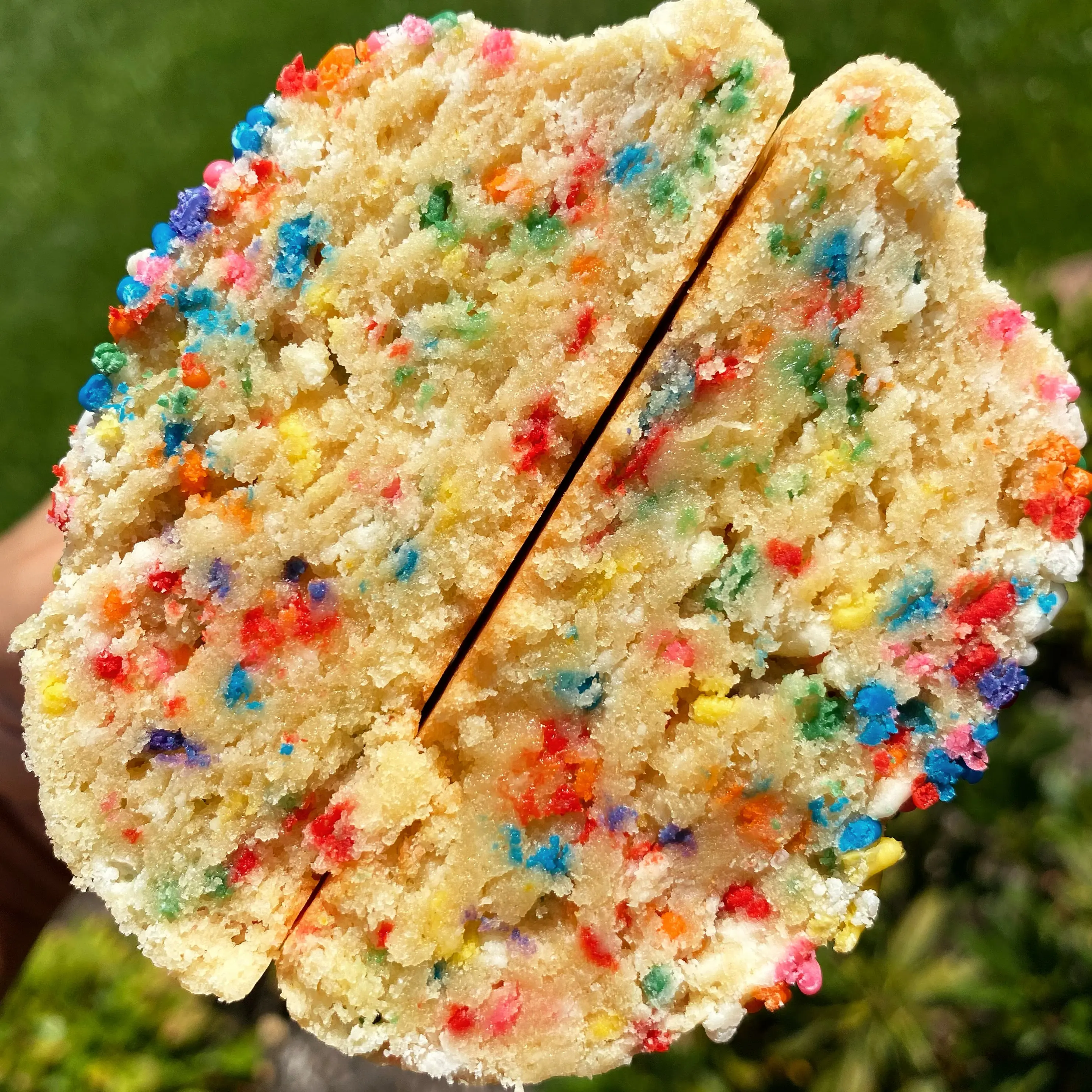 Funfetti Funfetti