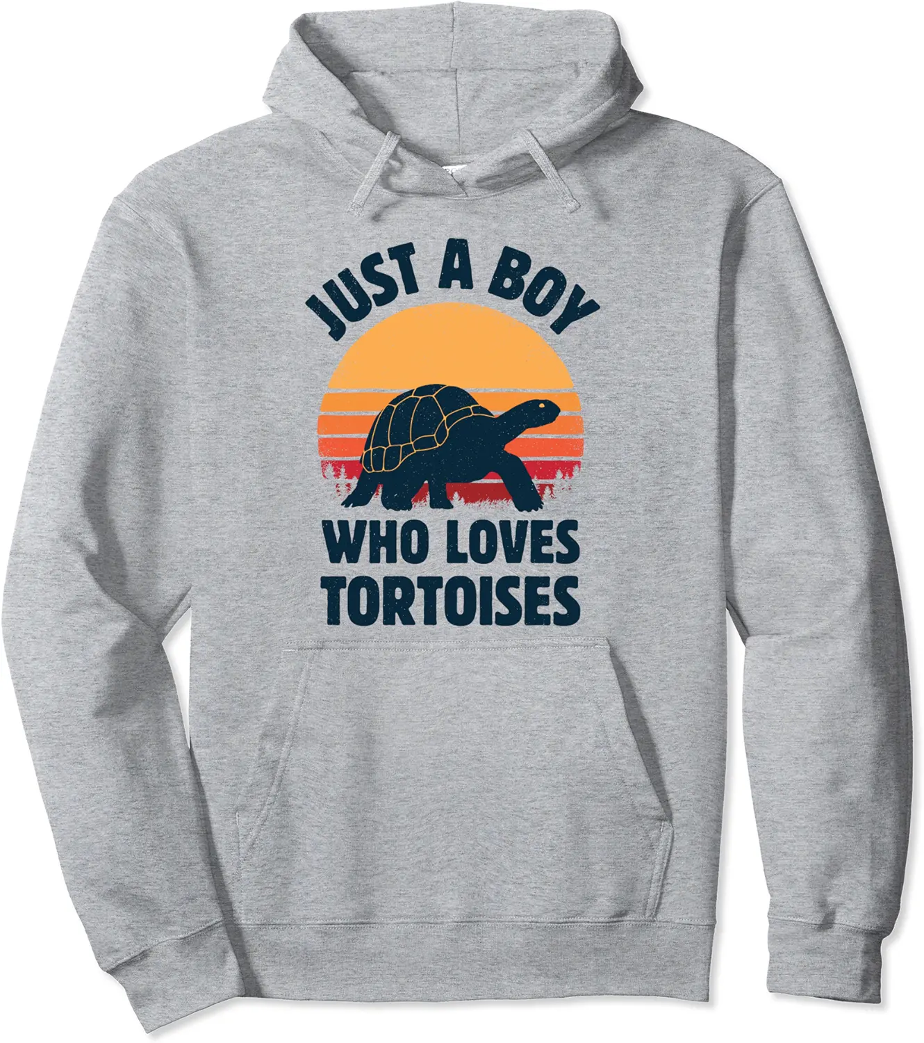 Tortoise Just A Boy Who Loves Turtles Reptiles Retro Vintage Pullover Hoodie - Abigaillou Shop 76B09VY4W6Z9
