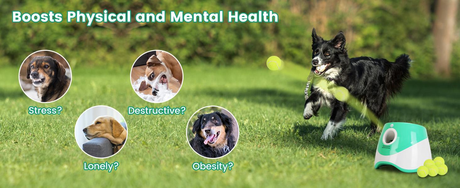 Dog Ball Thrower Launcher, Automatic Ball Launcher with 6 Tennis Balls for Small Medium Dogs, 3 Adjustable Distance Settings, Rechargeable Dog Toy Mental Stimulation Training Game for Energetic Dogs