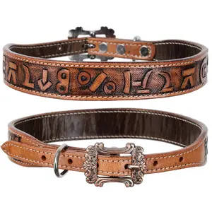 Brandin' Pen Leather Dog Collar