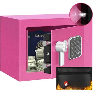 Safe Box for Home Safe (0.23 Cubic ) with Fireproof Bag, Personal Safe Box for  Safe for  Saving, Mini Safe Box with Key, Digital Safety Box with Light,  Lock Box (Pink)