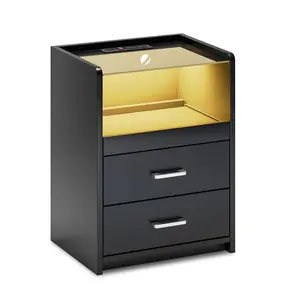 Sikaic LED Nightstand with 2 Storage Drawers Black