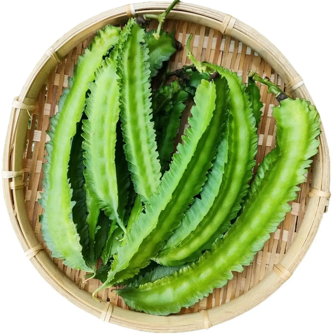 Winged Bean Seeds 100PCS Tropical Climbing Vegetable Seeds Garden Plant Frijol Alado