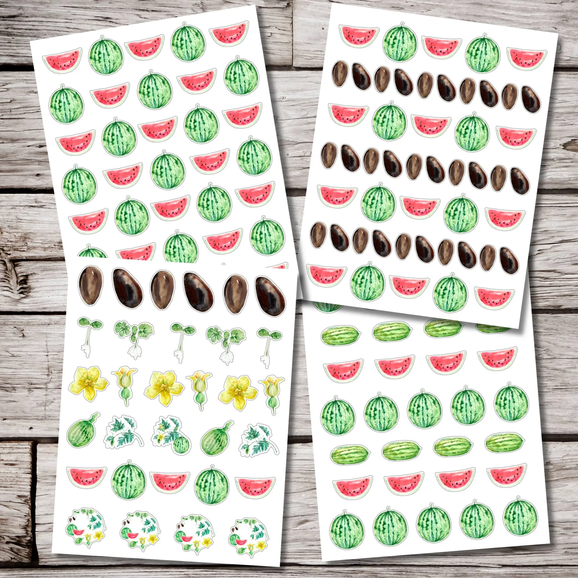 Watermelon Sticker Sheet