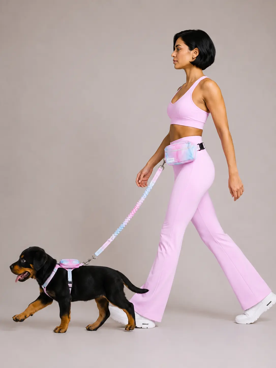 Luna Cloud Hands-Free Reflective Bungee Leash Set with Adjustable Waist Belt & 360° Swivel Clip for Small Medium Large Dogs zipper pouch Walking Harness Universal Harness