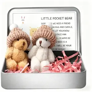 2pcs Mini Pocket Teddy Bear with Knitted Hat, Cute Tiny Plush Bear in Metal Tin Box, Inspirational Soft Cuddly Gift for Anxiety Relief & Desk Decor