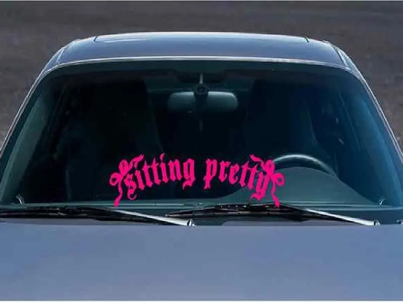 Sitting Pretty Car Decal -Weather & Water Resistant