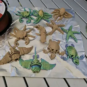 Skeleton Aqua Pets (various colors) price is Per Pet