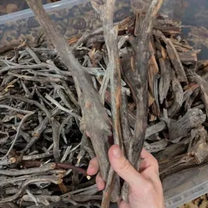 5 pcs 15-20 in thick gray old growth manzanita driftwood branches aquarium tank terrarium lizard frogs vivarium isopod air plants orchids