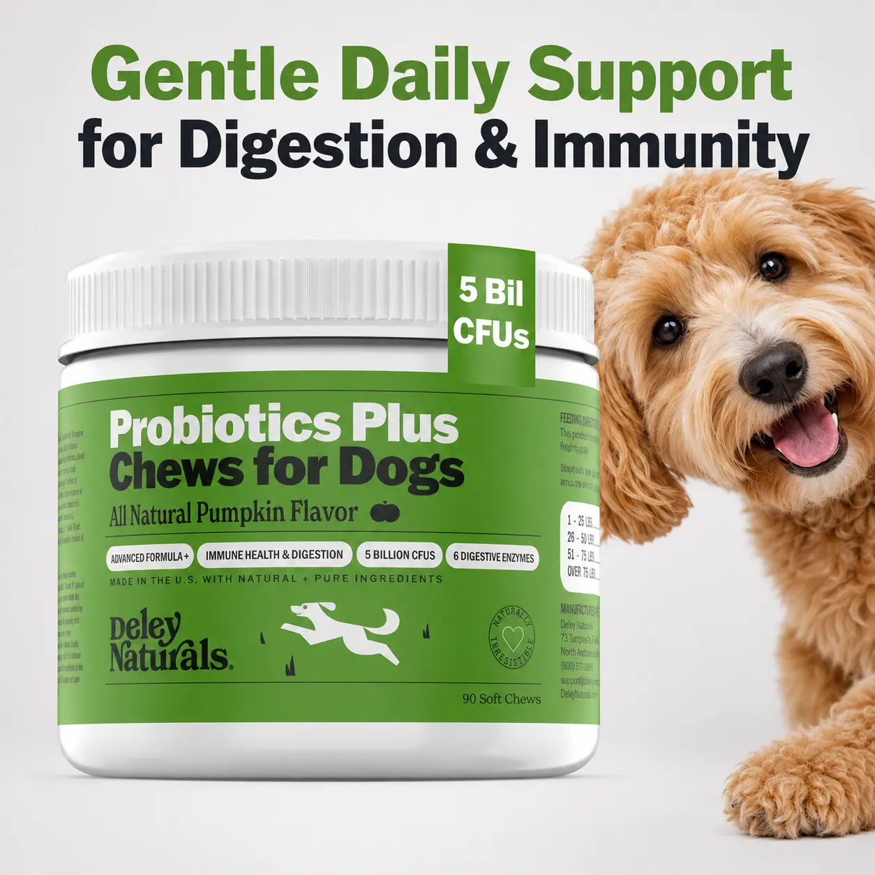 Deley Naturals Probiotics Plus Chews for Dogs - All Natural Pumpkin Flavor, 90 Soft Chews, Made with Natural Ingredients, 5 Billion CFUs, Immune Health & Digestive Support Canine Nutritional Supplement