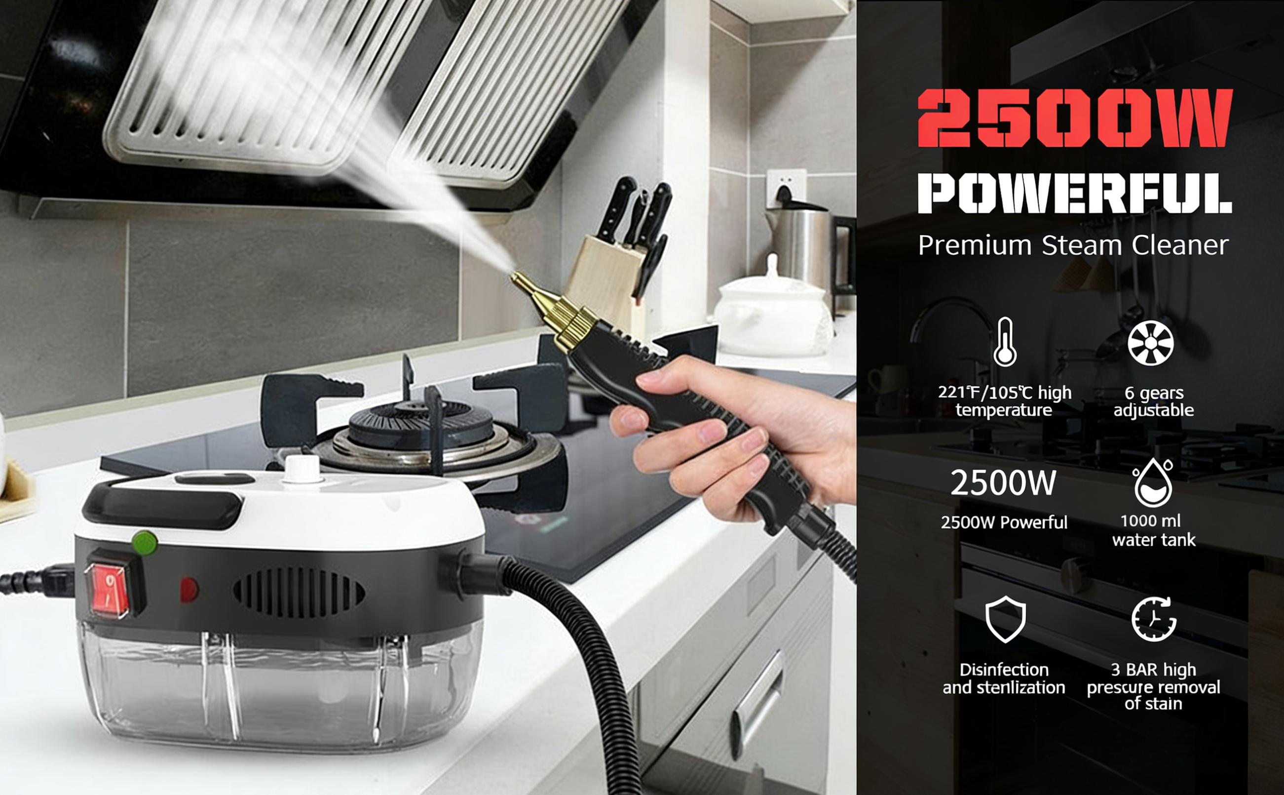 2500W Handheld Steam Cleaner High Temperature Pressurized Steam Cleaning Machine Portable Car Steamer with Brush Heads