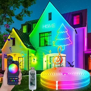 RGB LED Neon Light Strip with Remote Control, Synchronized Music, Multi-Color Changing, USB Powered, Bedroom Decoration, Flexible Lighting, Smart LED Lights