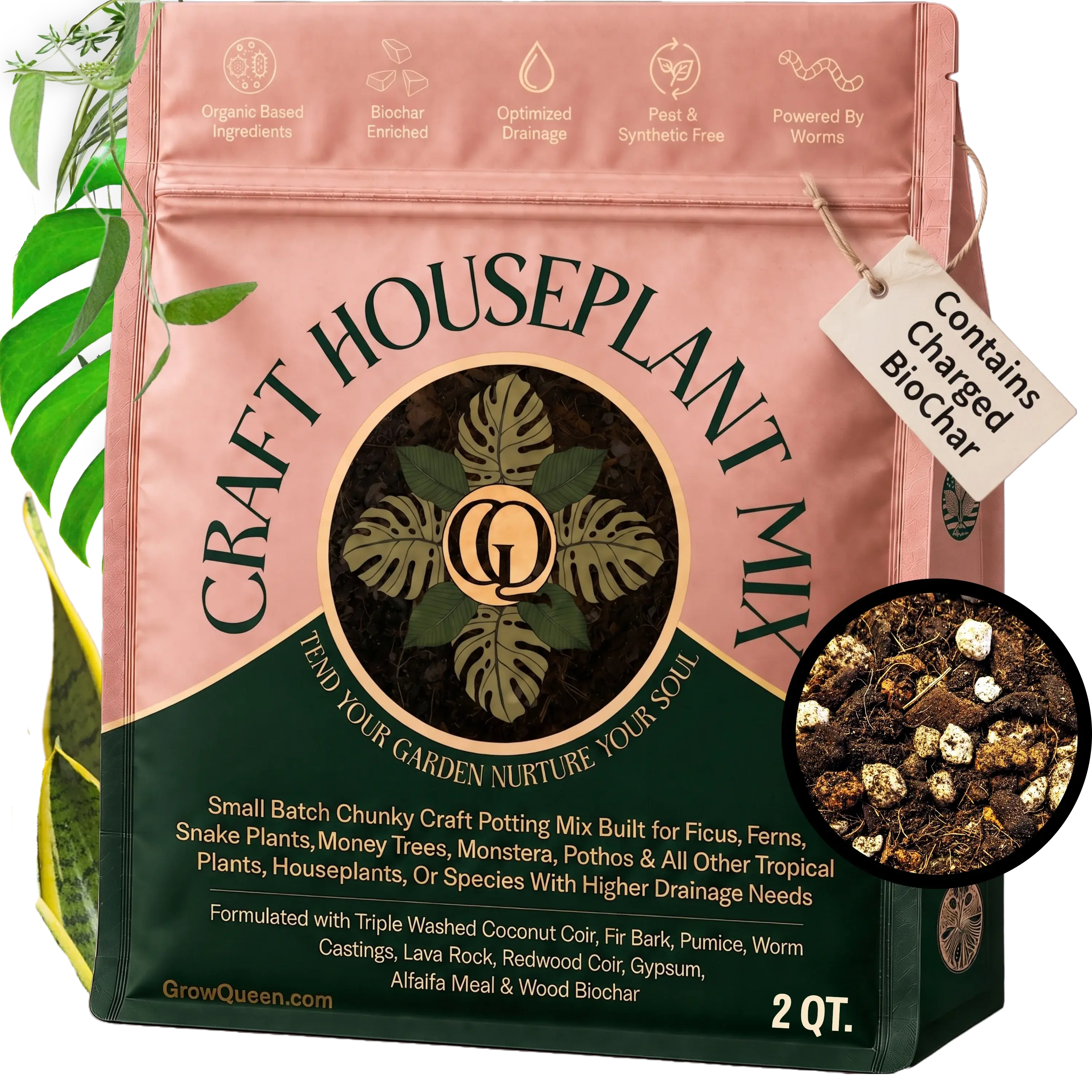 Craft Houseplant Potting Mix
