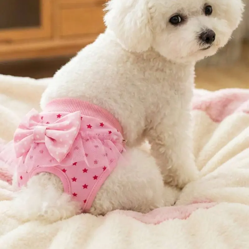 Dog Sanitary Diaper Pants with Lace Trim and Bow, Cute Cartoon Reusable Diaper for Small Dogs