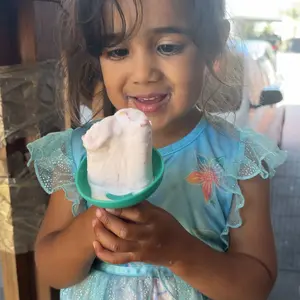 4pcs Silicone Ice Cream Holder Stand Set, Summer Popsicle Holder, Leak-Proof Cone Support with Drip Guard, Portable Youngsters's Ice Pop Mold Tray for On-The-Go Snacks - Dishwasher Safe, Thanksgiving tableware