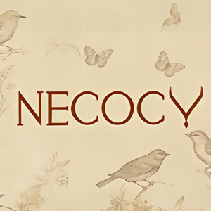 NECOCY JEWELRY