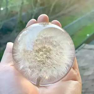 Authentic 2.76" Natural Dandelion Crystal Ball with Resin Lens, Unique Home Decor Gift Idea for Christmas, Eco-Friendly Plant Specimen